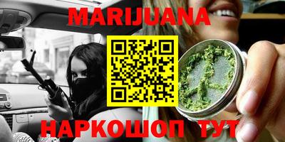 прущие грибы Гатчина