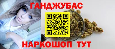 прущие грибы Гатчина