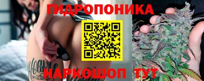 прущий лед Гагарин
