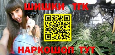 прущие грибы Гатчина