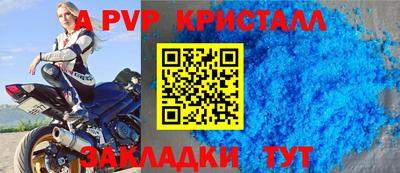 прущие грибы Гатчина